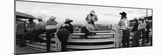 Cowboys at Rodeo, Pecos, Texas, USA-null-Mounted Photographic Print