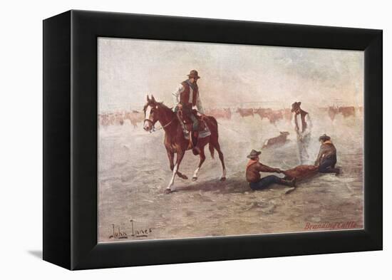 Cowboys Branding Calves-null-Framed Stretched Canvas