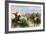 Cowboys Cutting Out Cattle to Drive a Herd from Texas to Kansas, c.1870-null-Framed Giclee Print