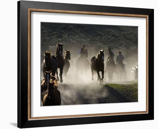 Cowboys Driving Horses at Sombrero Ranch, Craig, Colorado, USA-Carol Walker-Framed Photographic Print