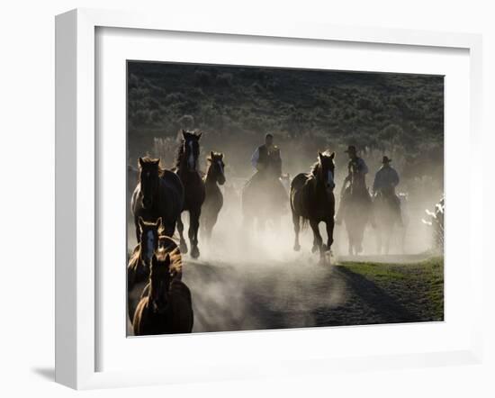 Cowboys Driving Horses at Sombrero Ranch, Craig, Colorado, USA-Carol Walker-Framed Photographic Print