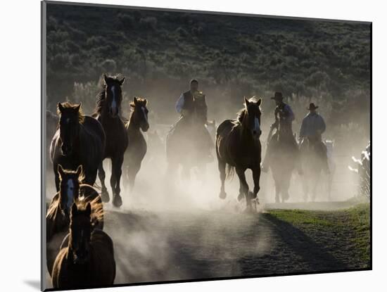 Cowboys Driving Horses at Sombrero Ranch, Craig, Colorado, USA-Carol Walker-Mounted Photographic Print