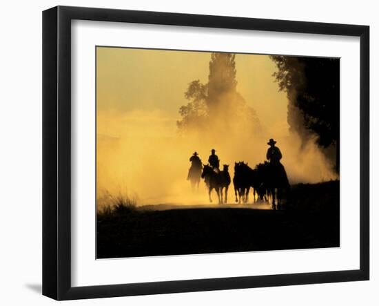 Cowboys Driving Wild Horses, Burns, Oregon, USA-Steve Terrill-Framed Photographic Print