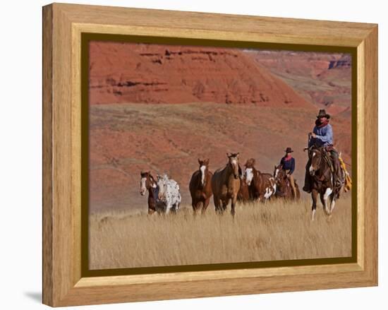 Cowboys Herding Horses in the Big Horn Mountains, Shell, Wyoming, USA-Joe Restuccia III-Framed Premier Image Canvas