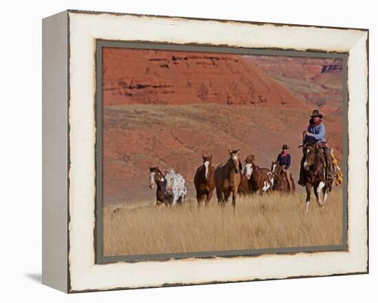 Cowboys Herding Horses in the Big Horn Mountains, Shell, Wyoming, USA-Joe Restuccia III-Framed Premier Image Canvas