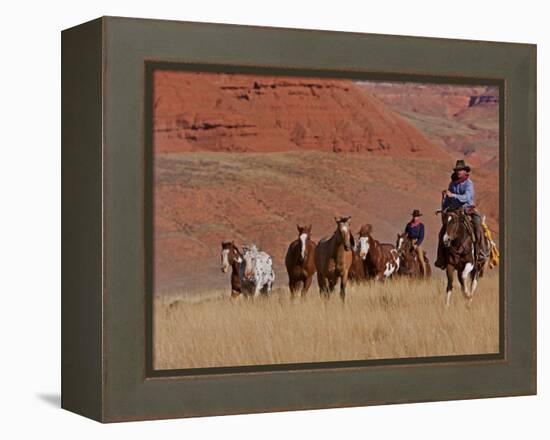 Cowboys Herding Horses in the Big Horn Mountains, Shell, Wyoming, USA-Joe Restuccia III-Framed Premier Image Canvas