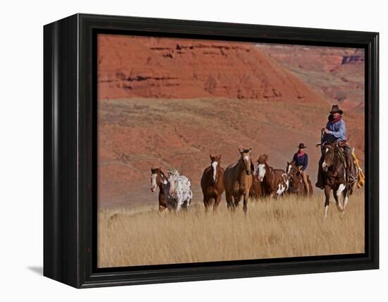 Cowboys Herding Horses in the Big Horn Mountains, Shell, Wyoming, USA-Joe Restuccia III-Framed Premier Image Canvas