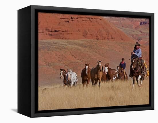 Cowboys Herding Horses in the Big Horn Mountains, Shell, Wyoming, USA-Joe Restuccia III-Framed Premier Image Canvas