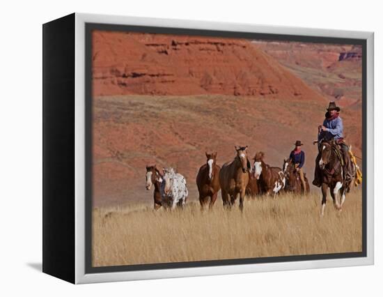 Cowboys Herding Horses in the Big Horn Mountains, Shell, Wyoming, USA-Joe Restuccia III-Framed Premier Image Canvas