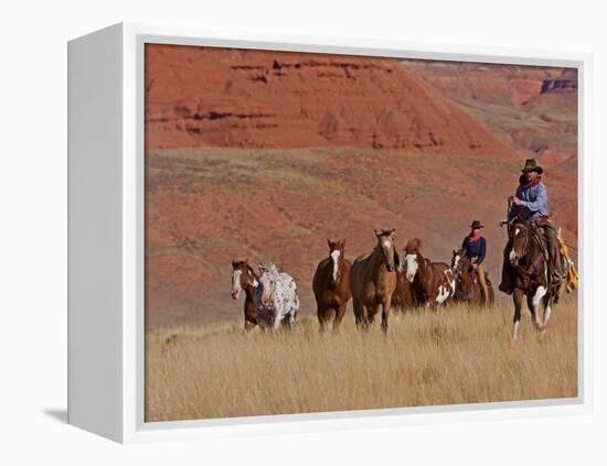 Cowboys Herding Horses in the Big Horn Mountains, Shell, Wyoming, USA-Joe Restuccia III-Framed Premier Image Canvas