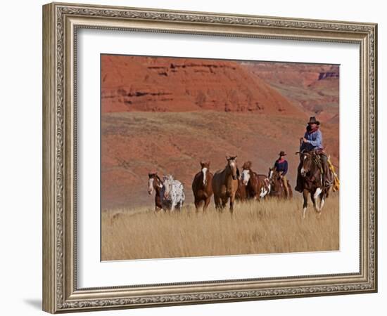 Cowboys Herding Horses in the Big Horn Mountains, Shell, Wyoming, USA-Joe Restuccia III-Framed Photographic Print