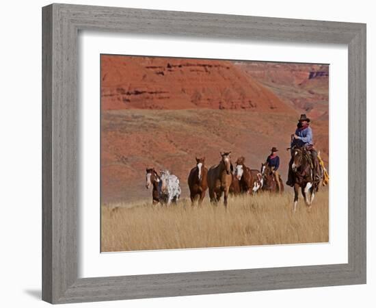 Cowboys Herding Horses in the Big Horn Mountains, Shell, Wyoming, USA-Joe Restuccia III-Framed Photographic Print