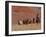 Cowboys Herding Horses in the Big Horn Mountains, Shell, Wyoming, USA-Joe Restuccia III-Framed Photographic Print