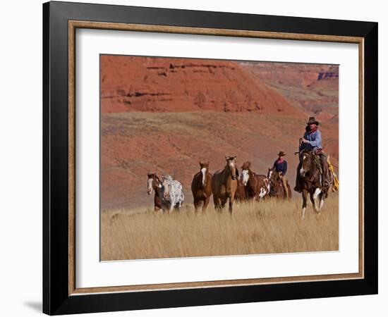 Cowboys Herding Horses in the Big Horn Mountains, Shell, Wyoming, USA-Joe Restuccia III-Framed Photographic Print