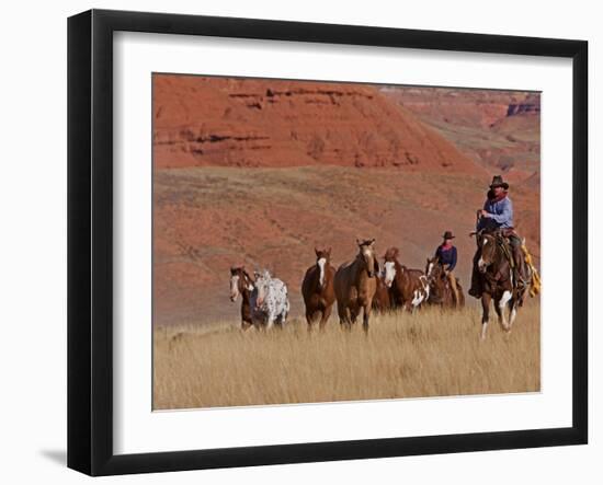 Cowboys Herding Horses in the Big Horn Mountains, Shell, Wyoming, USA-Joe Restuccia III-Framed Photographic Print