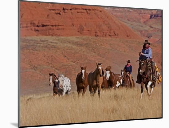 Cowboys Herding Horses in the Big Horn Mountains, Shell, Wyoming, USA-Joe Restuccia III-Mounted Photographic Print