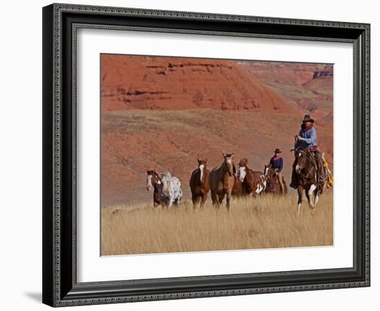 Cowboys Herding Horses in the Big Horn Mountains, Shell, Wyoming, USA-Joe Restuccia III-Framed Photographic Print