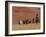 Cowboys Herding Horses in the Big Horn Mountains, Shell, Wyoming, USA-Joe Restuccia III-Framed Photographic Print