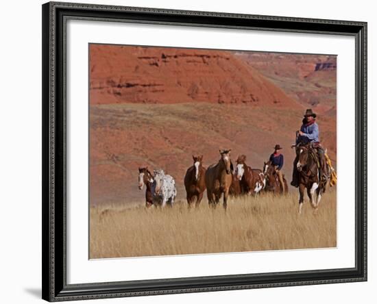 Cowboys Herding Horses in the Big Horn Mountains, Shell, Wyoming, USA-Joe Restuccia III-Framed Photographic Print