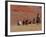 Cowboys Herding Horses in the Big Horn Mountains, Shell, Wyoming, USA-Joe Restuccia III-Framed Photographic Print