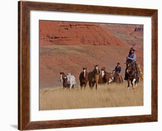 Cowboys Herding Horses in the Big Horn Mountains, Shell, Wyoming, USA-Joe Restuccia III-Framed Photographic Print