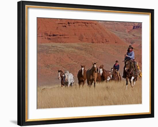 Cowboys Herding Horses in the Big Horn Mountains, Shell, Wyoming, USA-Joe Restuccia III-Framed Photographic Print