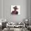 Cowboys & Indians: John Wayne, 1986-Andy Warhol-Giclee Print displayed on a wall