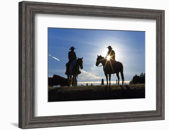 Cowboys on Horses, Sunrise, British Colombia, Canada-Peter Adams-Framed Photographic Print