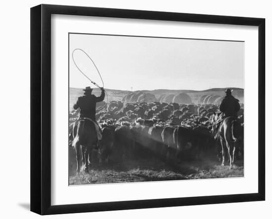 Cowboys on Long Cattle Drive from S. Dakota to Nebraska-Grey Villet-Framed Photographic Print