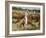 Cowboys on the King Range, TX-Eliot Elisofon-Framed Photographic Print