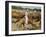 Cowboys on the King Range, TX-Eliot Elisofon-Framed Photographic Print