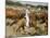 Cowboys on the King Range, TX-Eliot Elisofon-Mounted Photographic Print