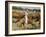 Cowboys on the King Range, TX-Eliot Elisofon-Framed Photographic Print