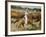 Cowboys on the King Range, TX-Eliot Elisofon-Framed Photographic Print