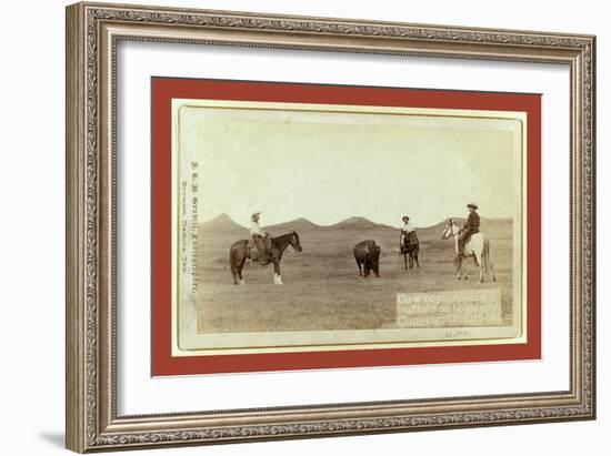 Cowboys, Roping a Buffalo on the Plains-John C. H. Grabill-Framed Giclee Print