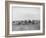 Cowboys Sitting around Chuckwagon Photograph - Belle Fourche, SD-Lantern Press-Framed Art Print