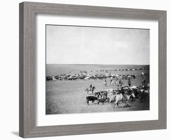 Cowboys with Cattle on the Range Photograph - Belle Fourche, SD-Lantern Press-Framed Art Print