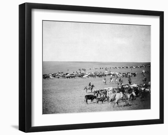 Cowboys with Cattle on the Range Photograph - Belle Fourche, SD-Lantern Press-Framed Art Print