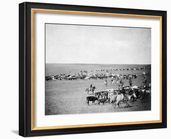 Cowboys with Cattle on the Range Photograph - Belle Fourche, SD-Lantern Press-Framed Art Print