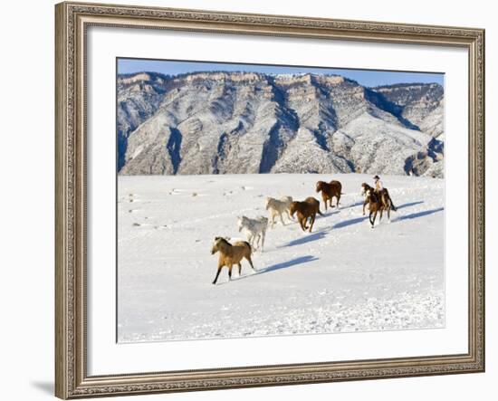 Cowboys With Horses, Hideout Ranch, Shell, Wyoming, USA-Joe Restuccia III-Framed Photographic Print