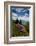 Cowee Mountain Overlook, Blue Ridge Parkway, North Carolina-Howie Garber-Framed Photographic Print