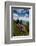 Cowee Mountain Overlook, Blue Ridge Parkway, North Carolina-Howie Garber-Framed Photographic Print