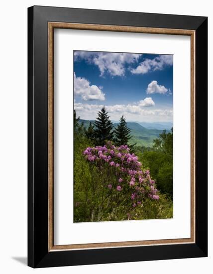 Cowee Mountain Overlook, Blue Ridge Parkway, North Carolina-Howie Garber-Framed Photographic Print