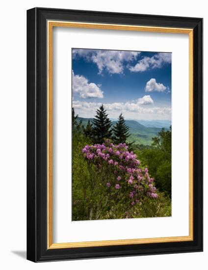 Cowee Mountain Overlook, Blue Ridge Parkway, North Carolina-Howie Garber-Framed Photographic Print