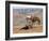 Cowgirl and Her Horse with Dog Viewing the Countryside-Terry Eggers-Framed Photographic Print