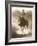 Cowgirl, Apache Spirit Ranch, Tombstone, Arizona, USA MR-Christian Heeb-Framed Photographic Print