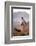 Cowgirl at Full Gallop with Cowdogs Leading Way-Terry Eggers-Framed Photographic Print