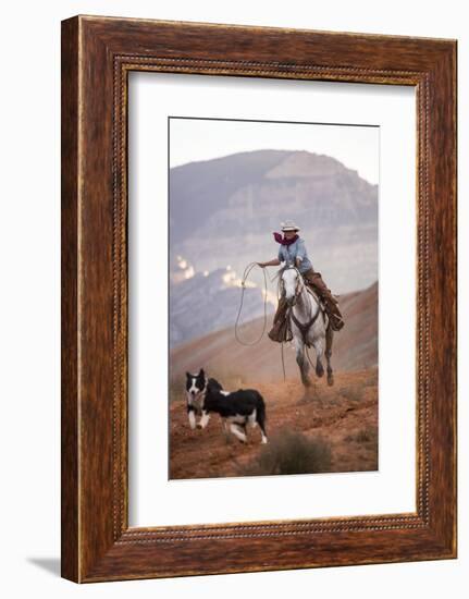 Cowgirl at Full Gallop with Cowdogs Leading Way-Terry Eggers-Framed Photographic Print