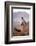 Cowgirl at Full Gallop with Cowdogs Leading Way-Terry Eggers-Framed Photographic Print