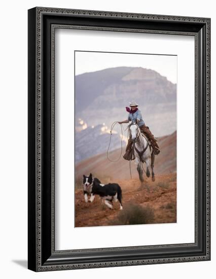 Cowgirl at Full Gallop with Cowdogs Leading Way-Terry Eggers-Framed Photographic Print